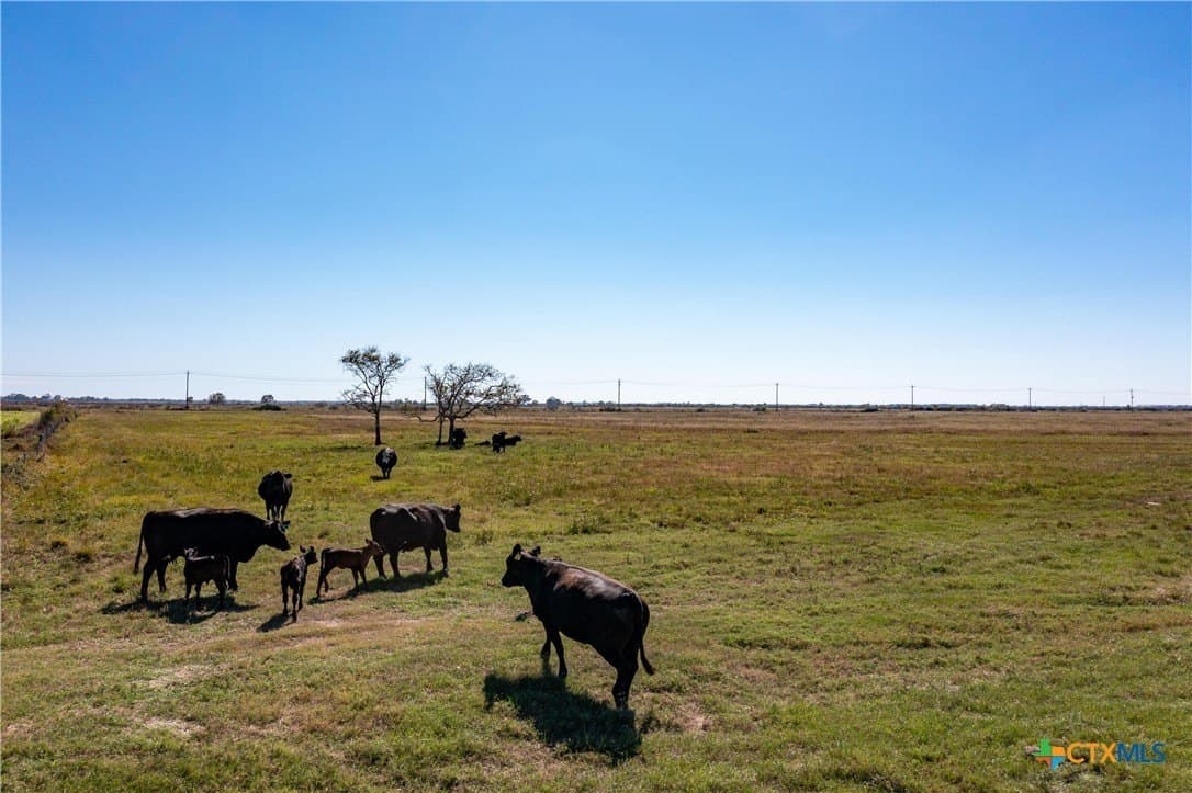 10.03 acres in Jackson County - photo 3