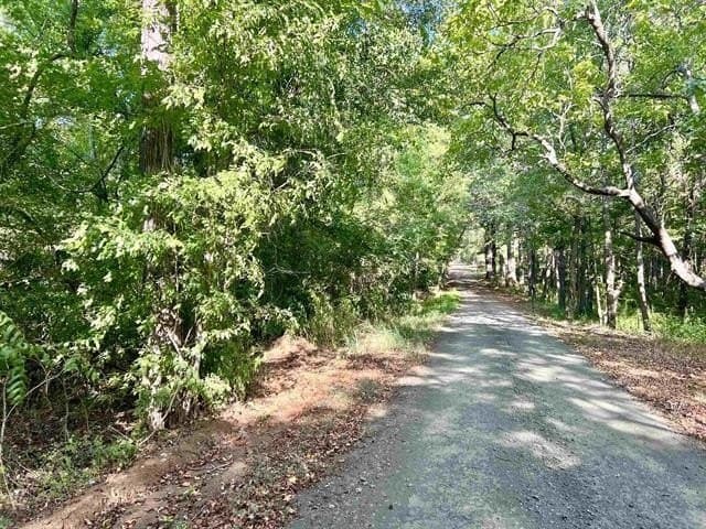17.9 acres in Texas County - photo 3
