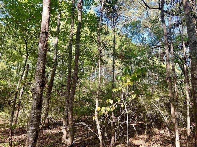 17.9 acres in Texas County - photo 15