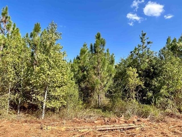 17.9 acres in Texas County - photo 18