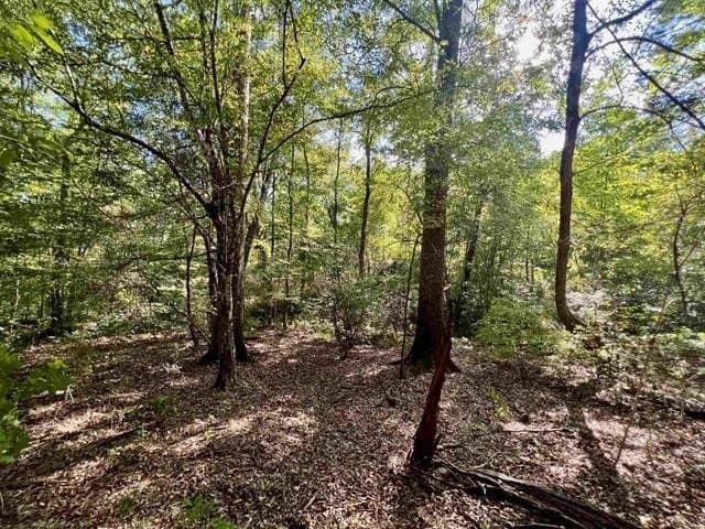 17.9 acres in Texas County - photo 20