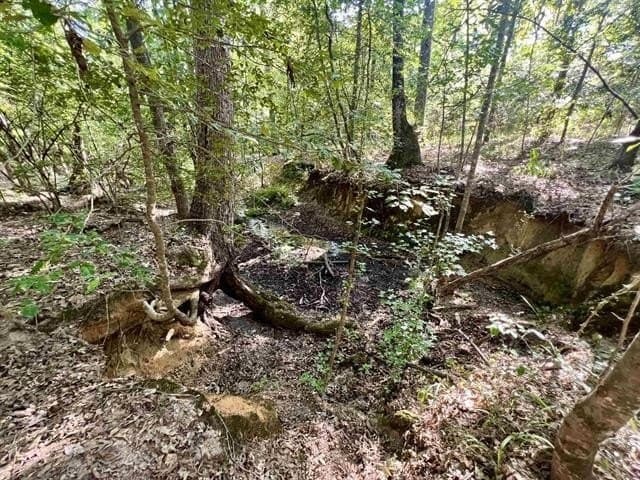 17.9 acres in Texas County - photo 5