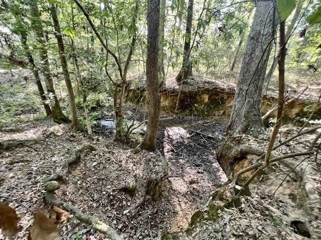 17.9 acres in Texas County - photo 12