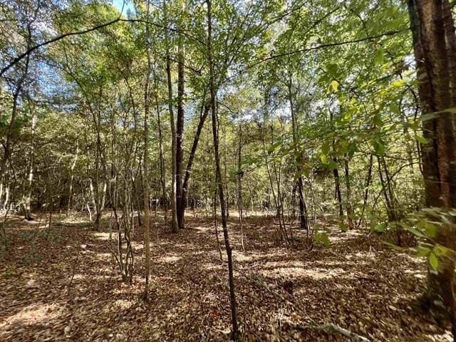 17.9 acres in Texas County - photo 7