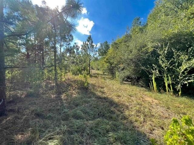 17.9 acres in Texas County - photo 4