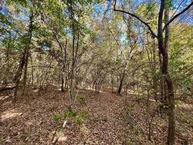 17.9 acres in Texas County - photo 6