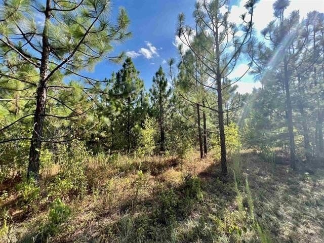 17.9 acres in Texas County - photo 17