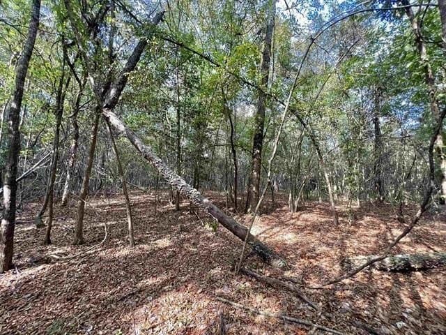 17.9 acres in Texas County - photo 2
