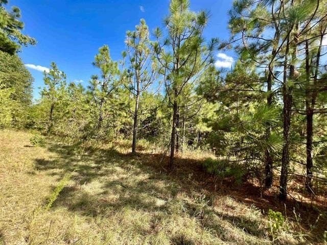 17.9 acres in Texas County - photo 13