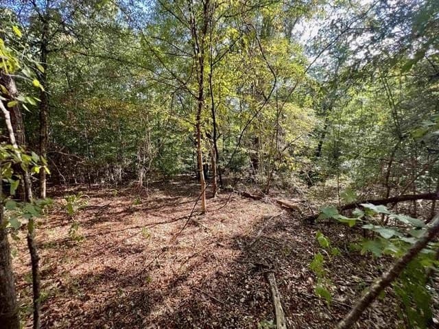 17.9 acres in Texas County - photo 19