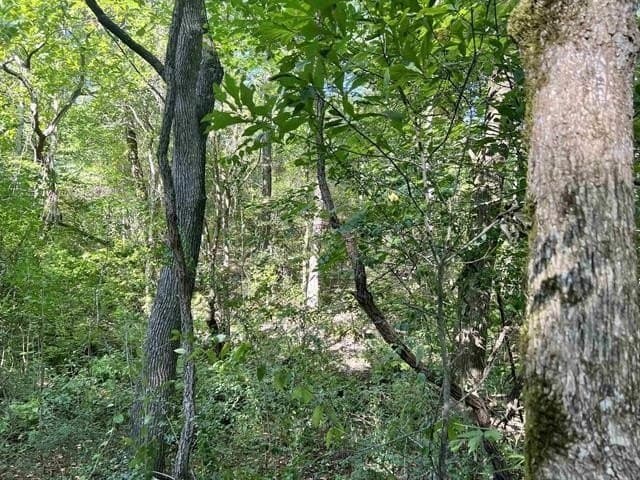 17.9 acres in Texas County - photo 10