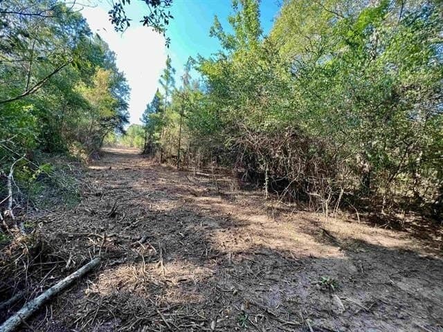17.9 acres in Texas County - photo 8
