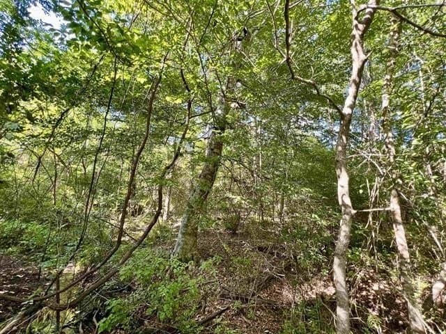17.9 acres in Texas County - photo 11