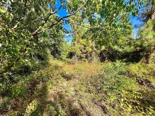 17.9 acres in Texas County - photo 14