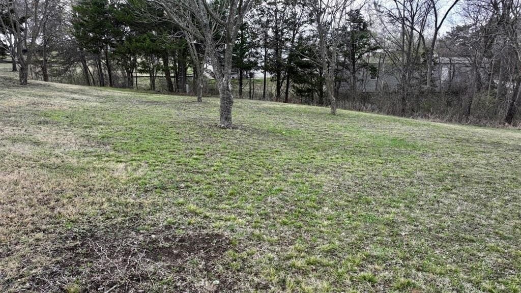 0.64 acres in Grayson County - photo 10