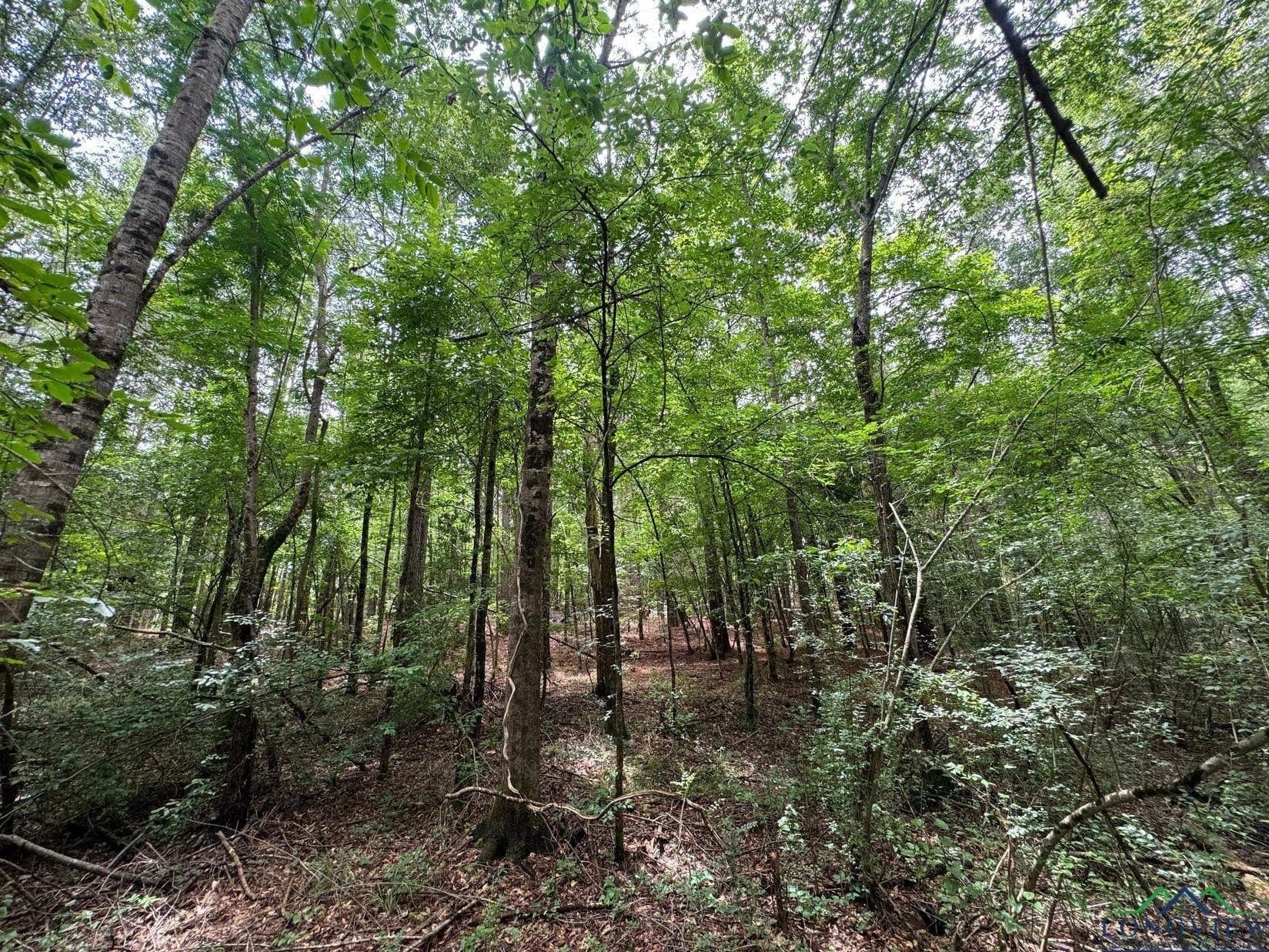 8.42 acres in Marion County - photo 5