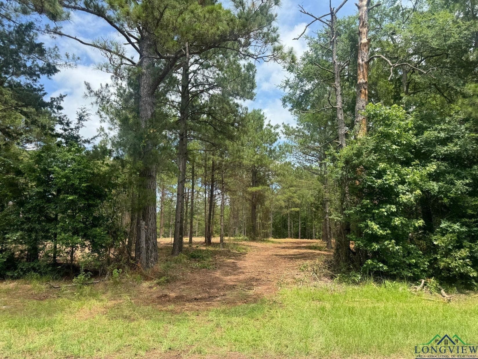8.42 acres in Marion County - photo 6