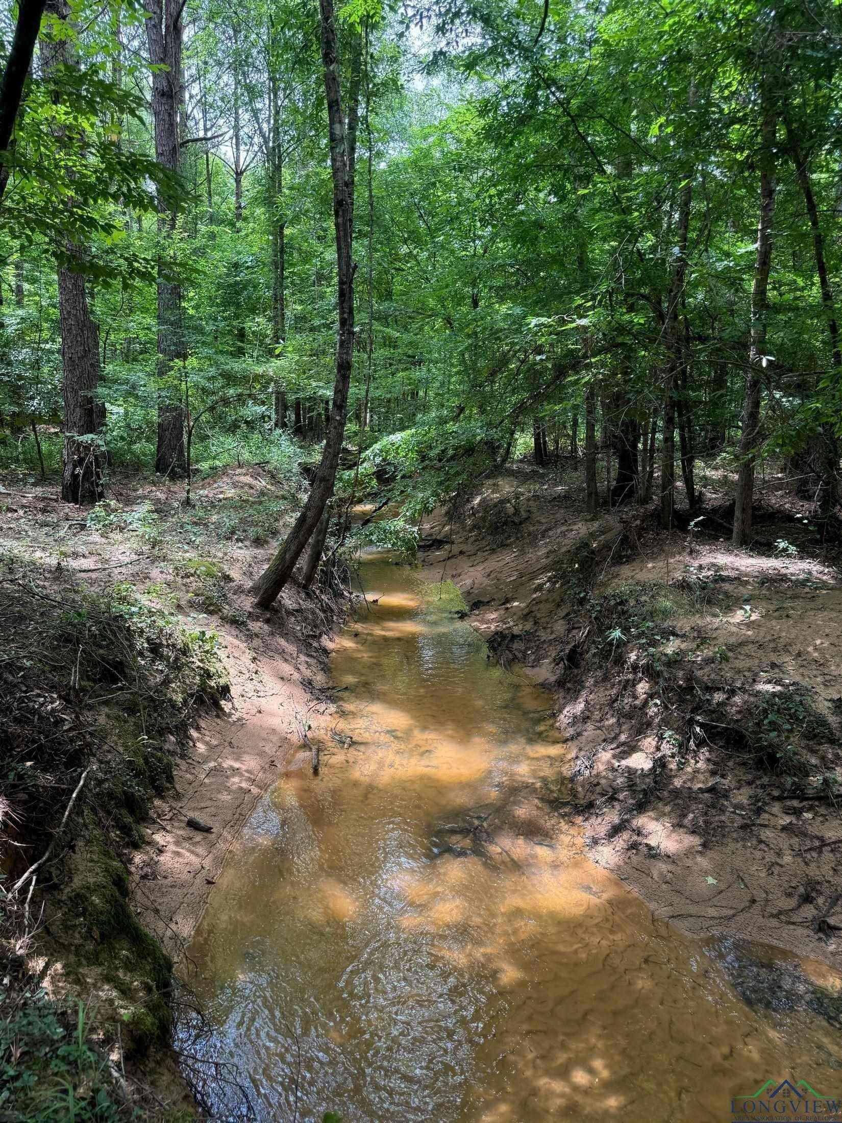 8.42 acres in Marion County - photo 12