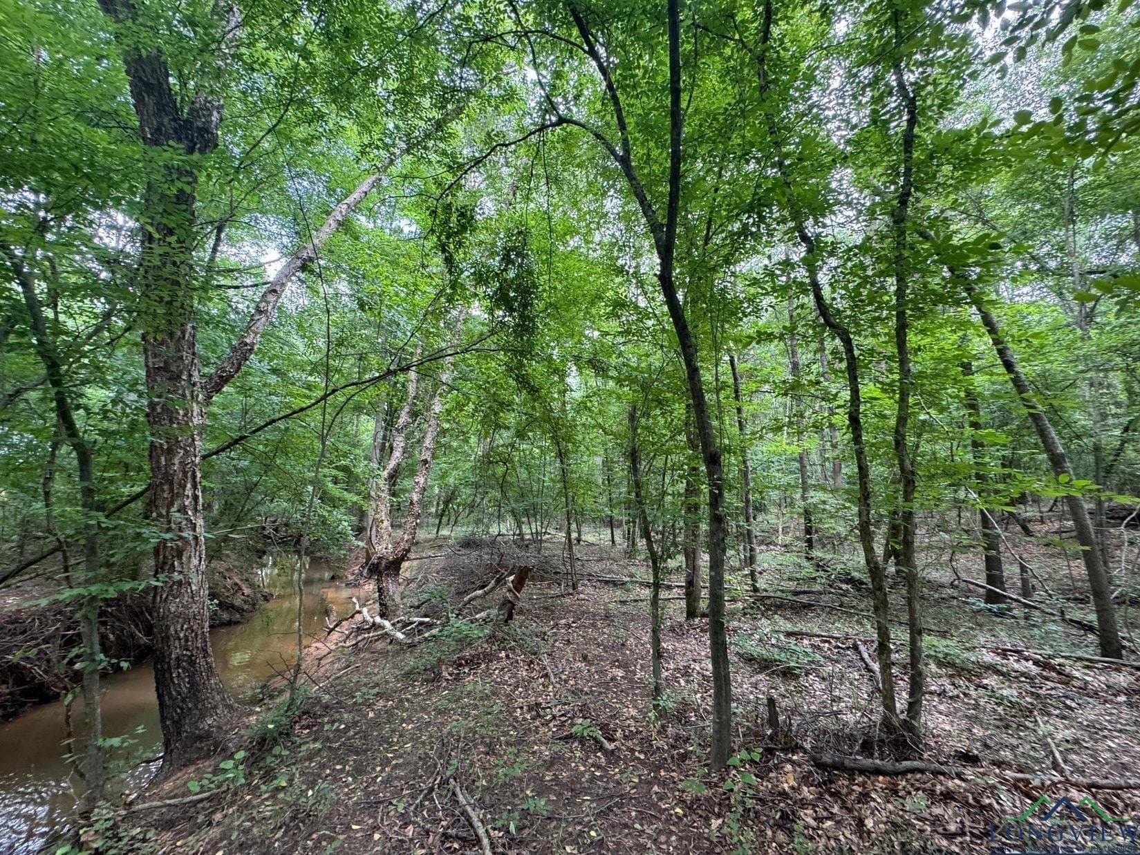 8.42 acres in Marion County - photo 4