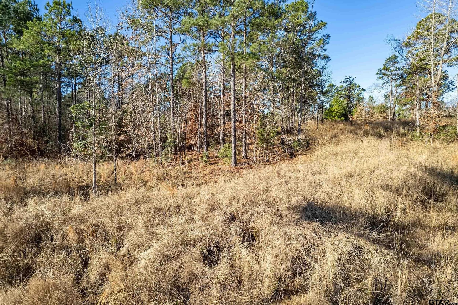 10.01 acres in Anderson County - photo 12