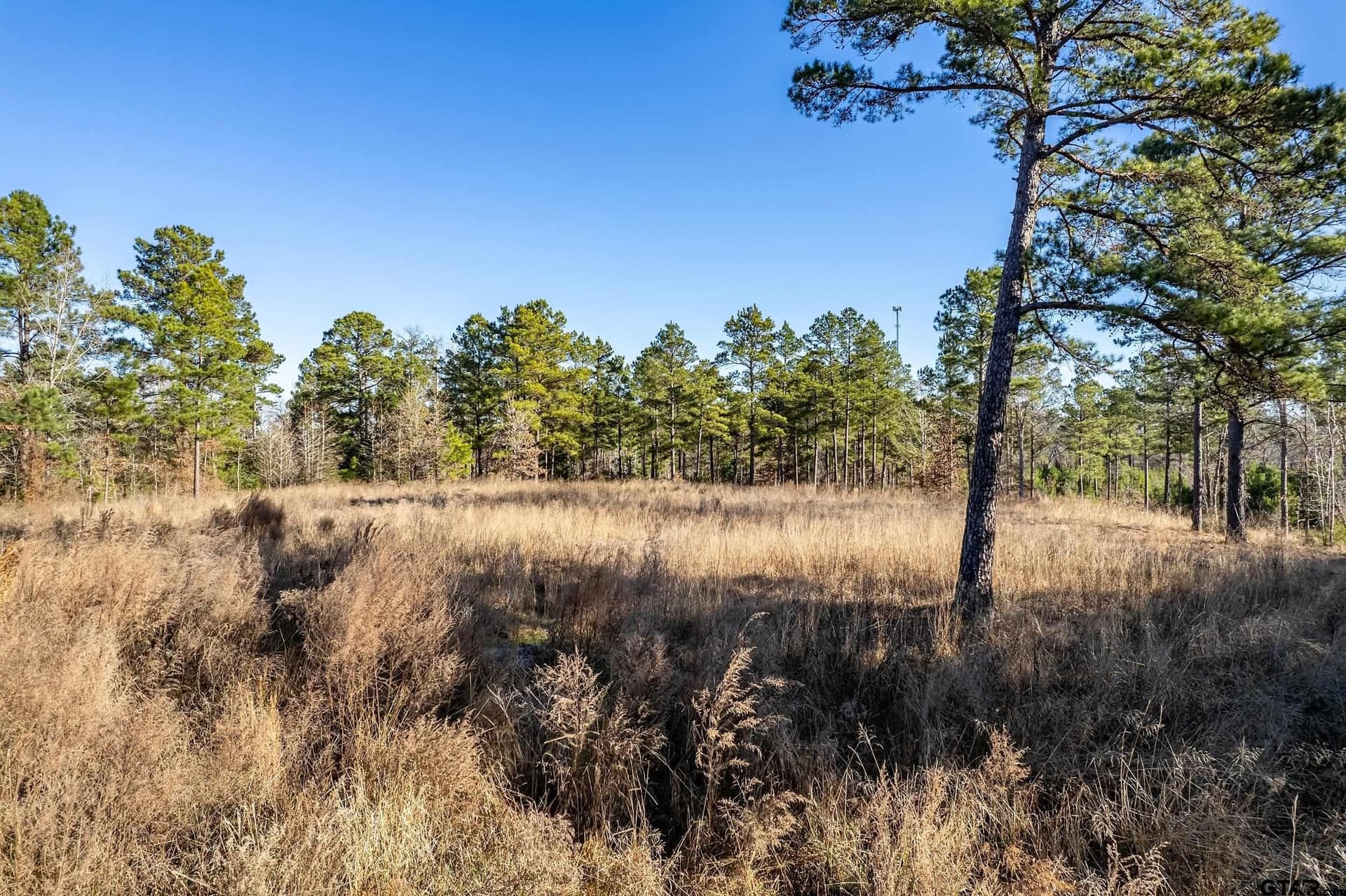 10.01 acres in Anderson County - photo 5