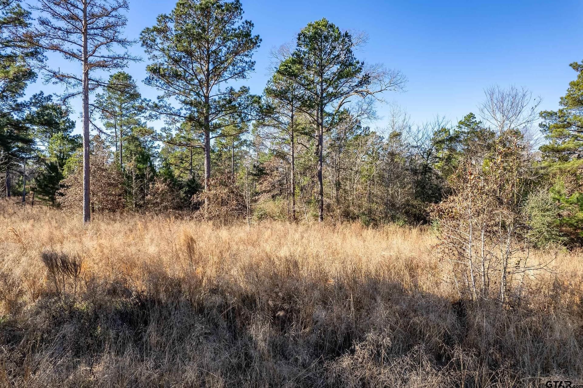 10.01 acres in Anderson County - photo 7