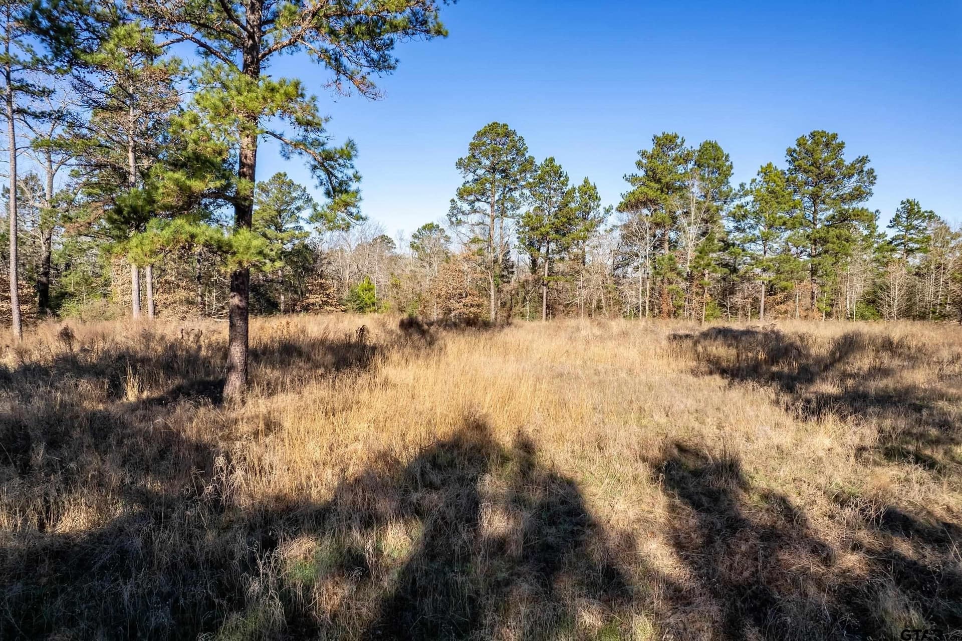 10.01 acres in Anderson County - photo 11