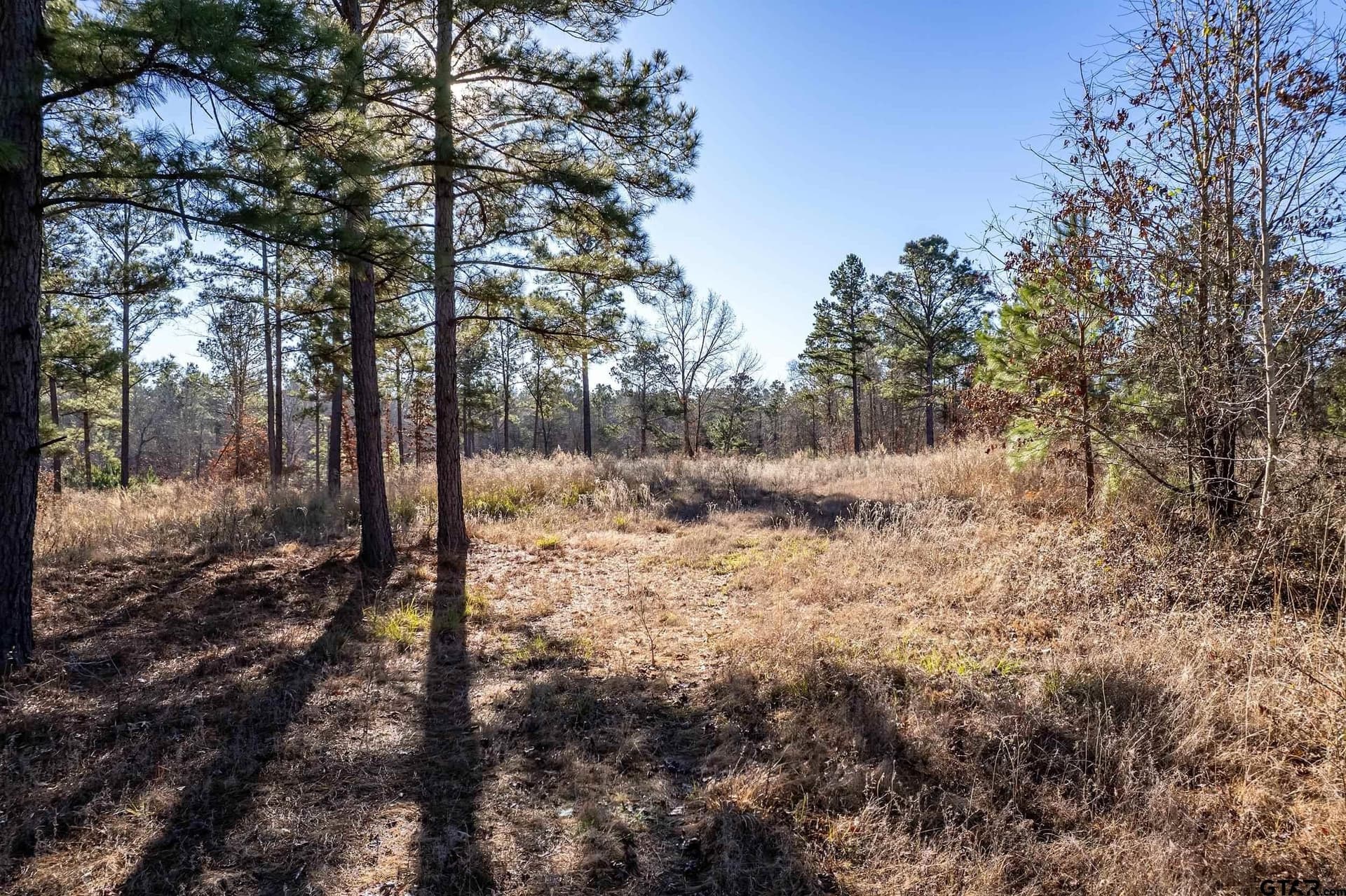 10.01 acres in Anderson County - photo 4