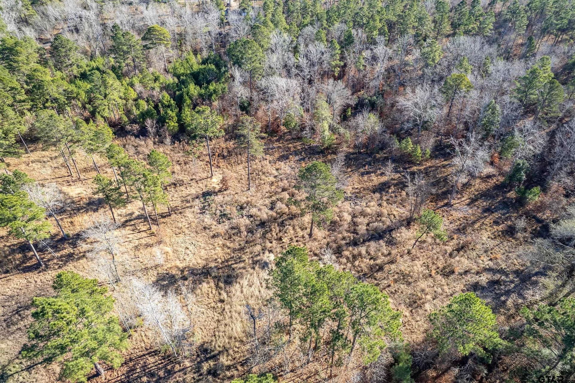 10.01 acres in Anderson County - photo 17