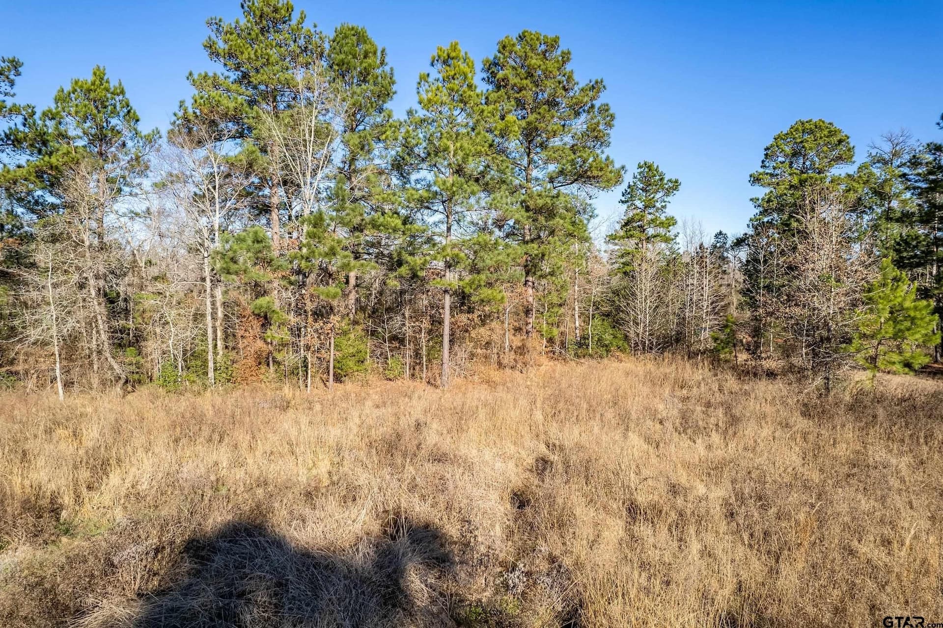 10.01 acres in Anderson County - photo 10