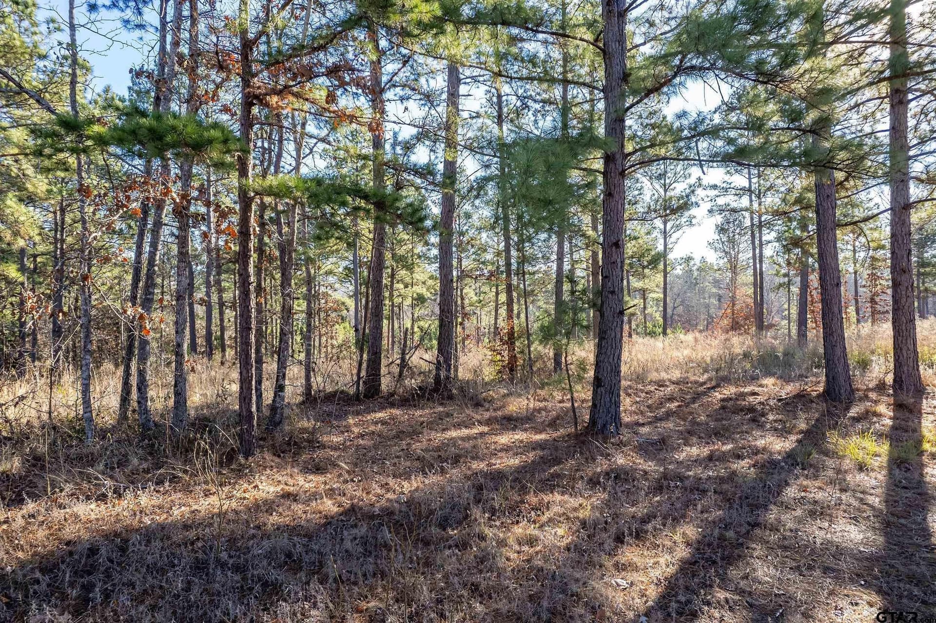 10.01 acres in Anderson County - photo 3