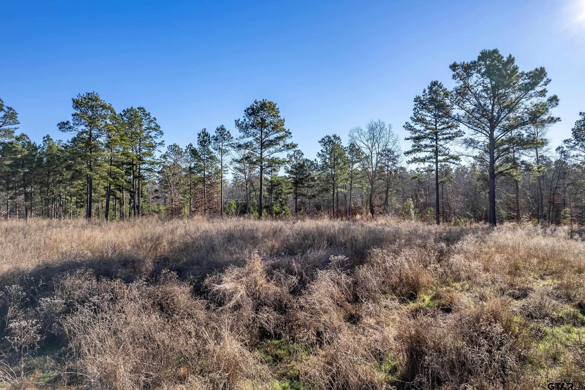 10.01 acres in Anderson County - photo 8