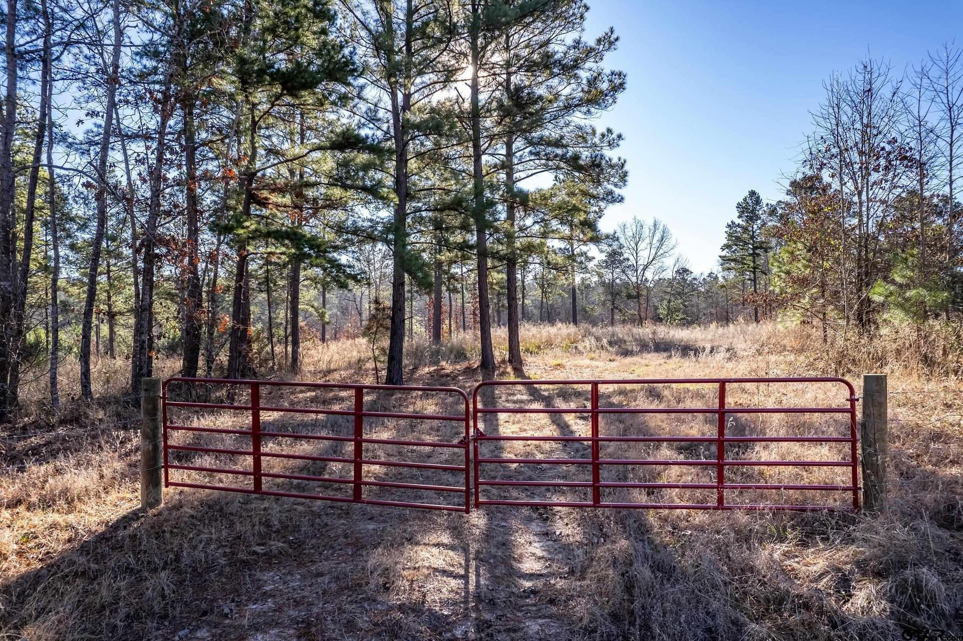 10.01 acres in Anderson County - photo 2