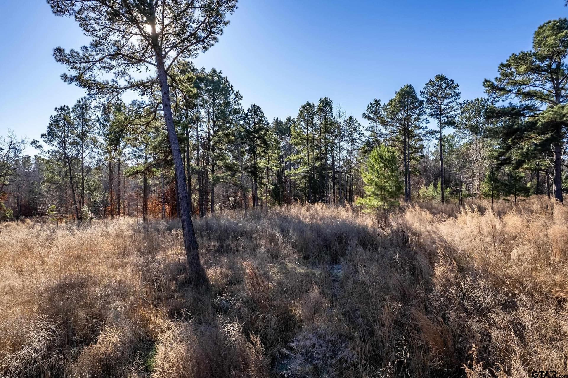 10.01 acres in Anderson County - photo 9