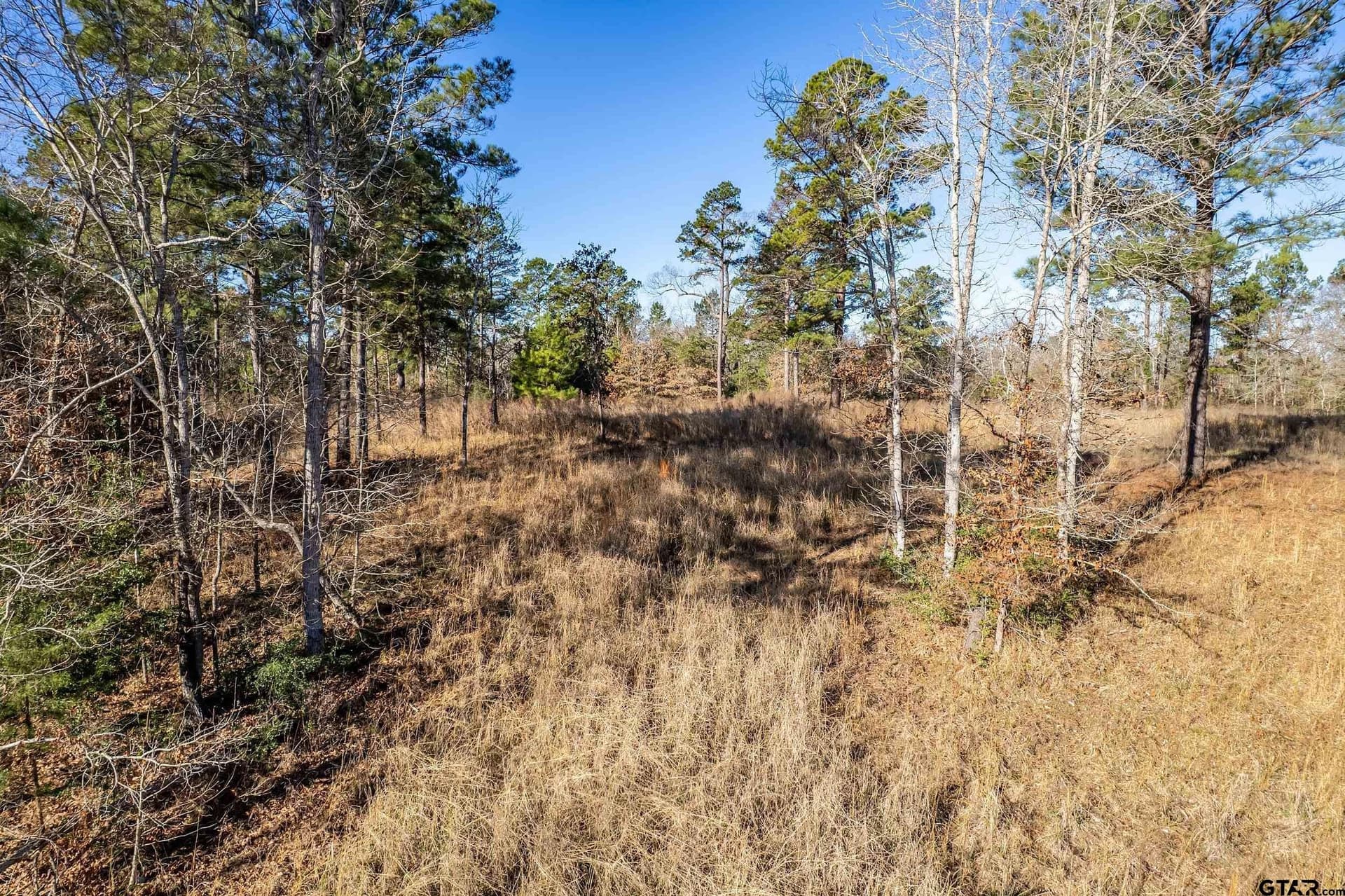 10.01 acres in Anderson County - photo 13