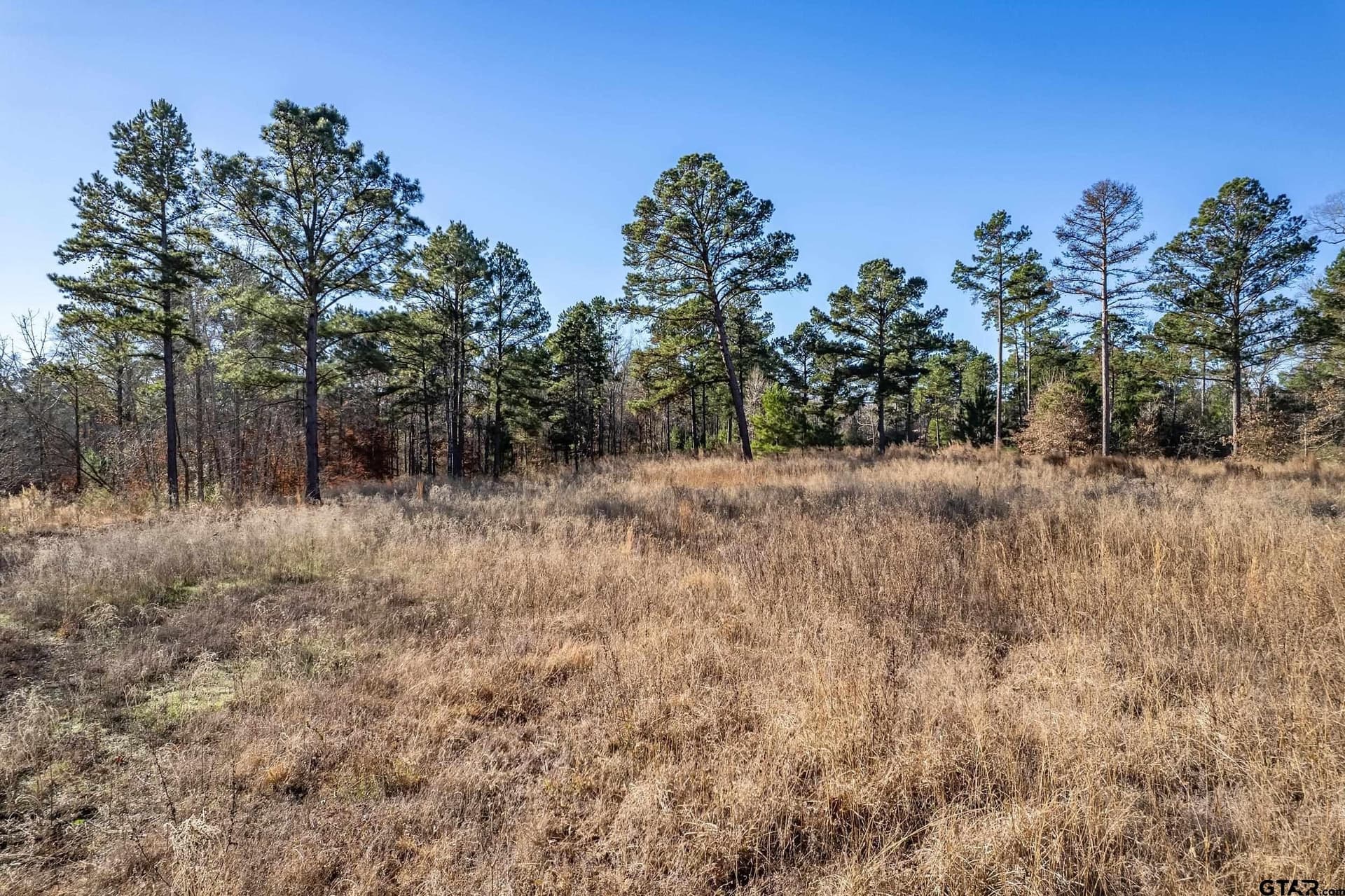 10.01 acres in Anderson County - photo 6