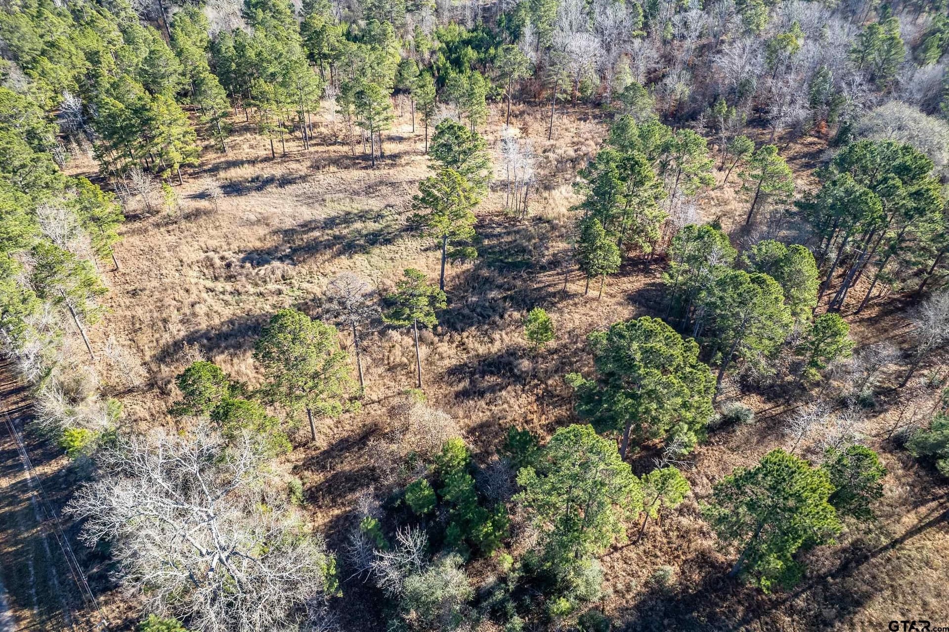10.01 acres in Anderson County - photo 16