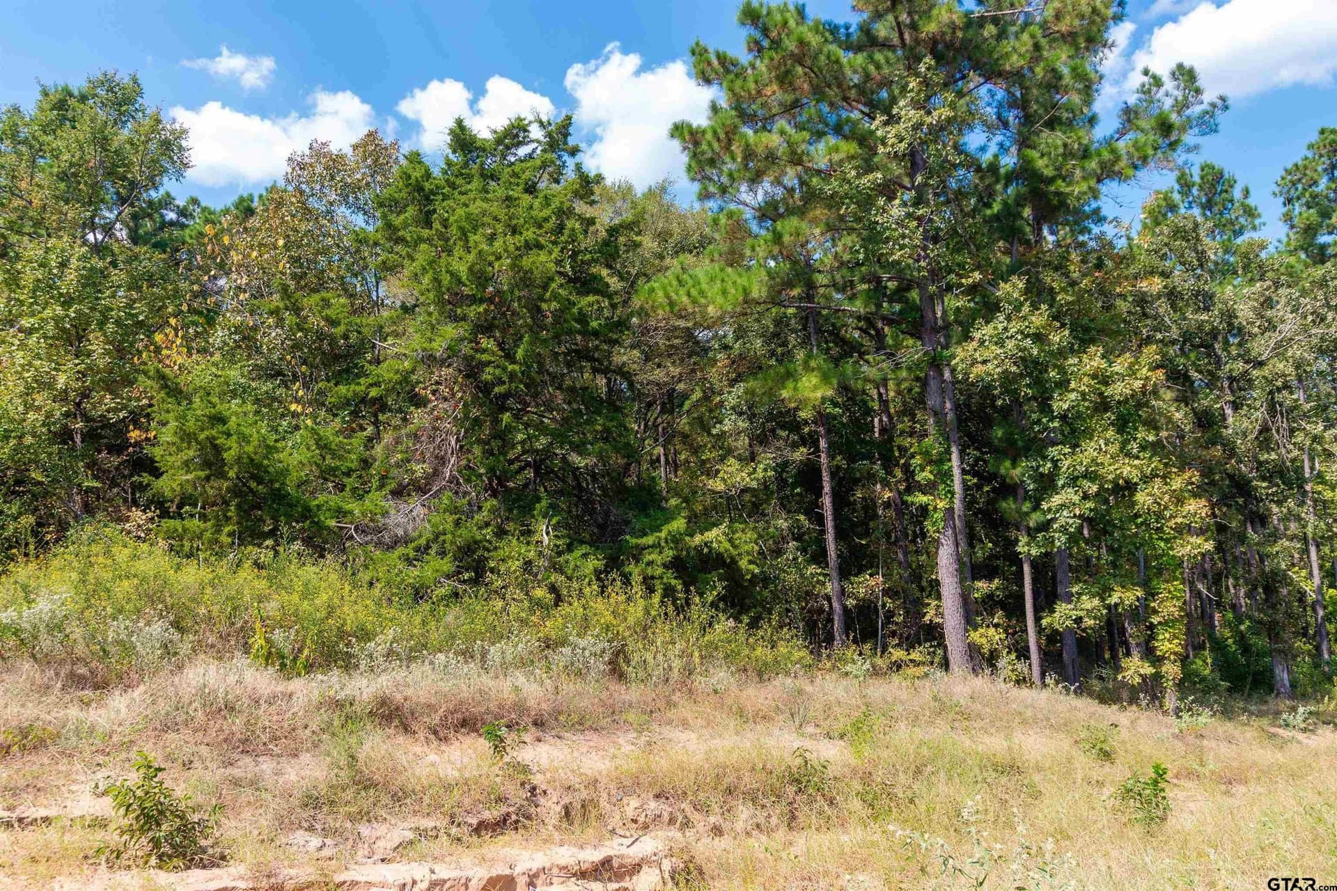 TBD CR 3947