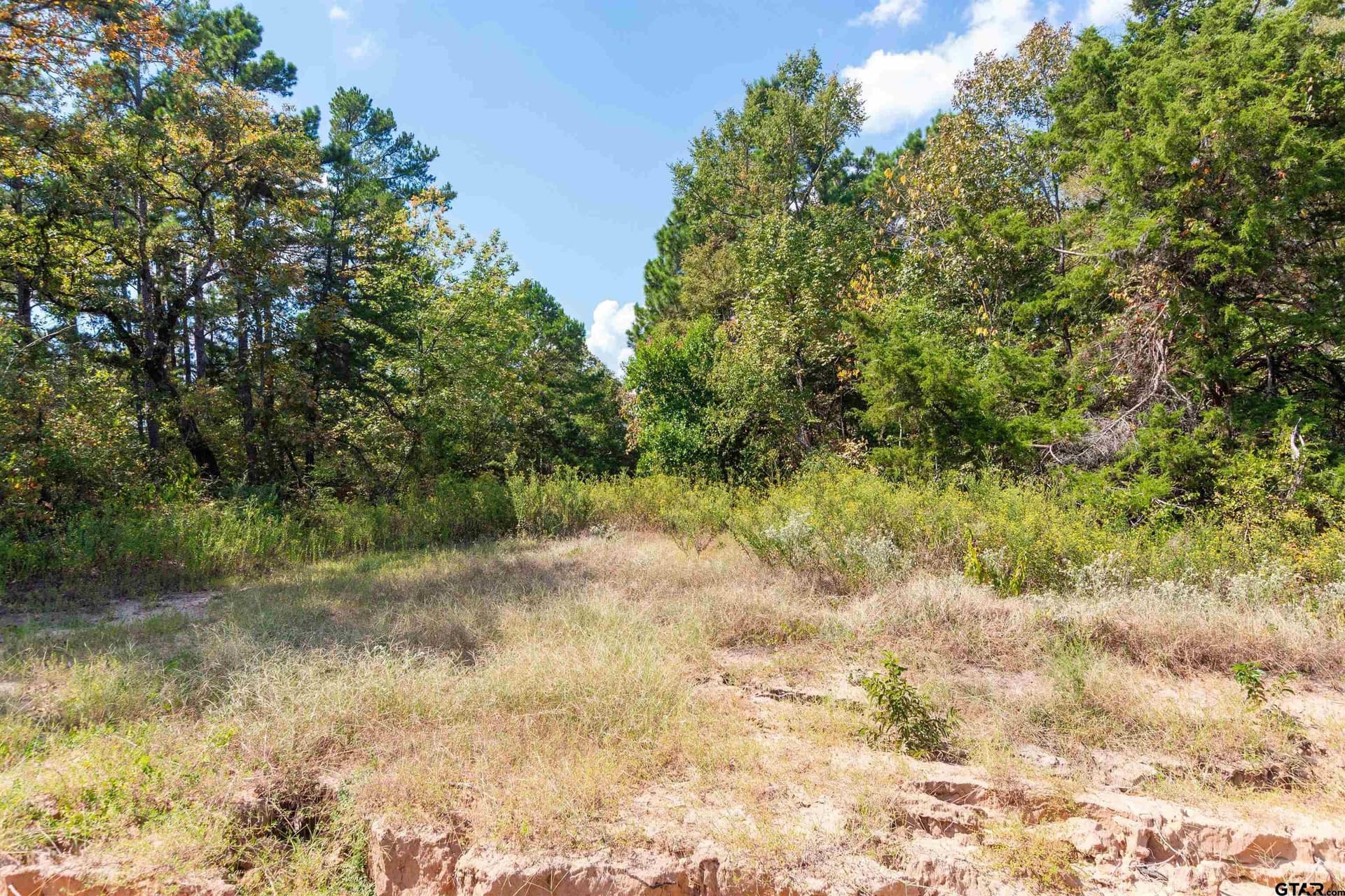 10.01 acres in Wood County - photo 3