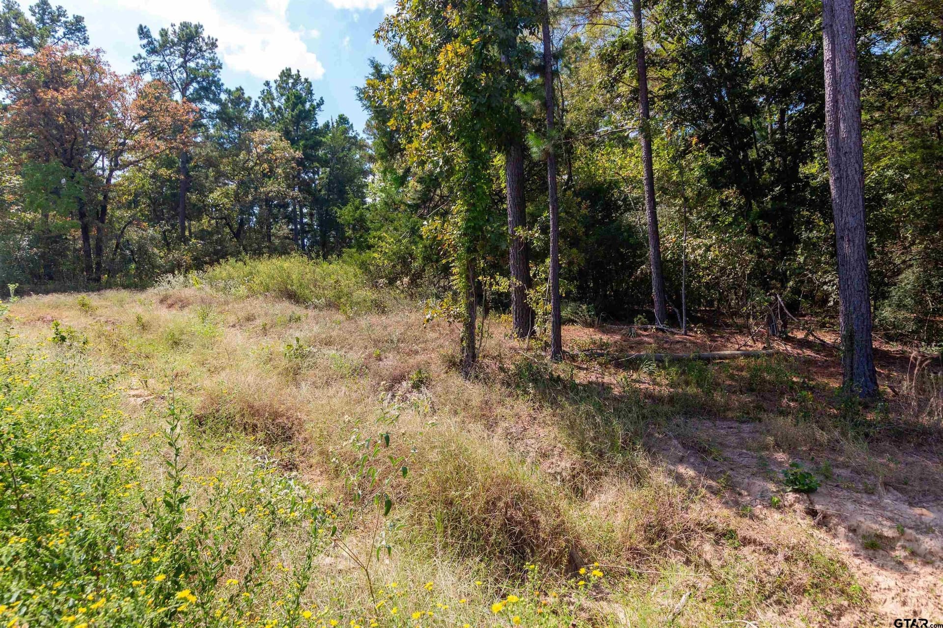 10.01 acres in Wood County - photo 4