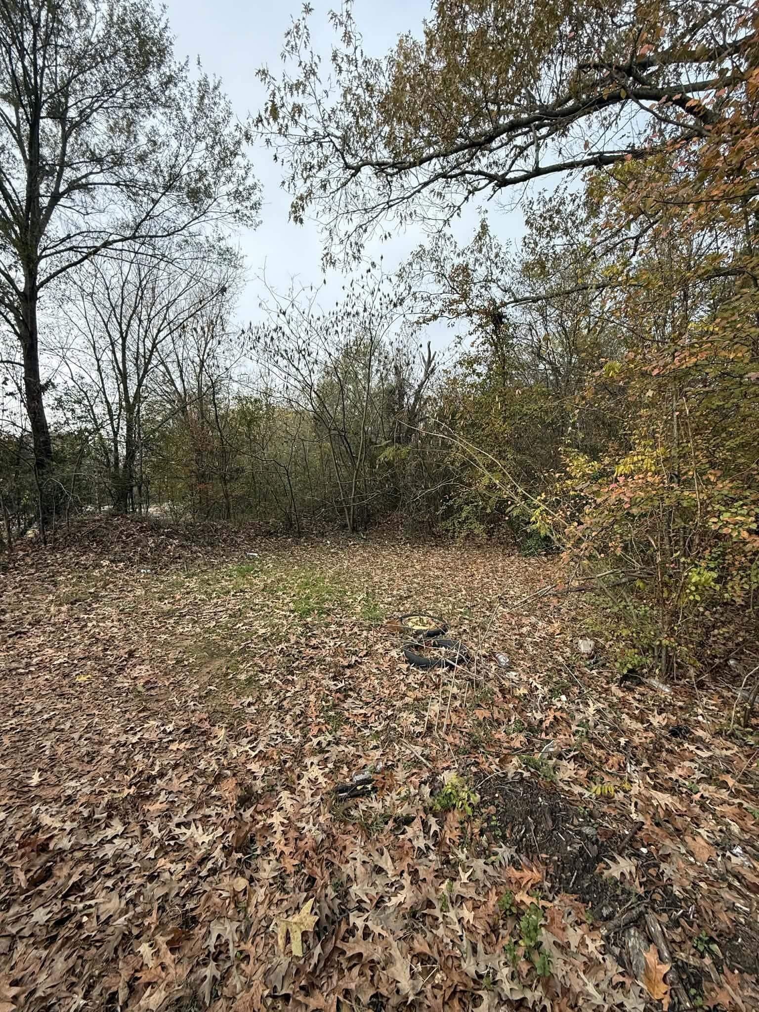 0.38 acres in Texas County - photo 5