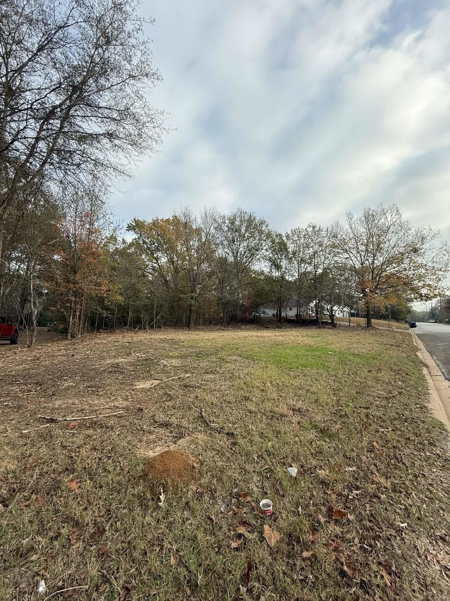 0.38 acres in Texas County - photo 3