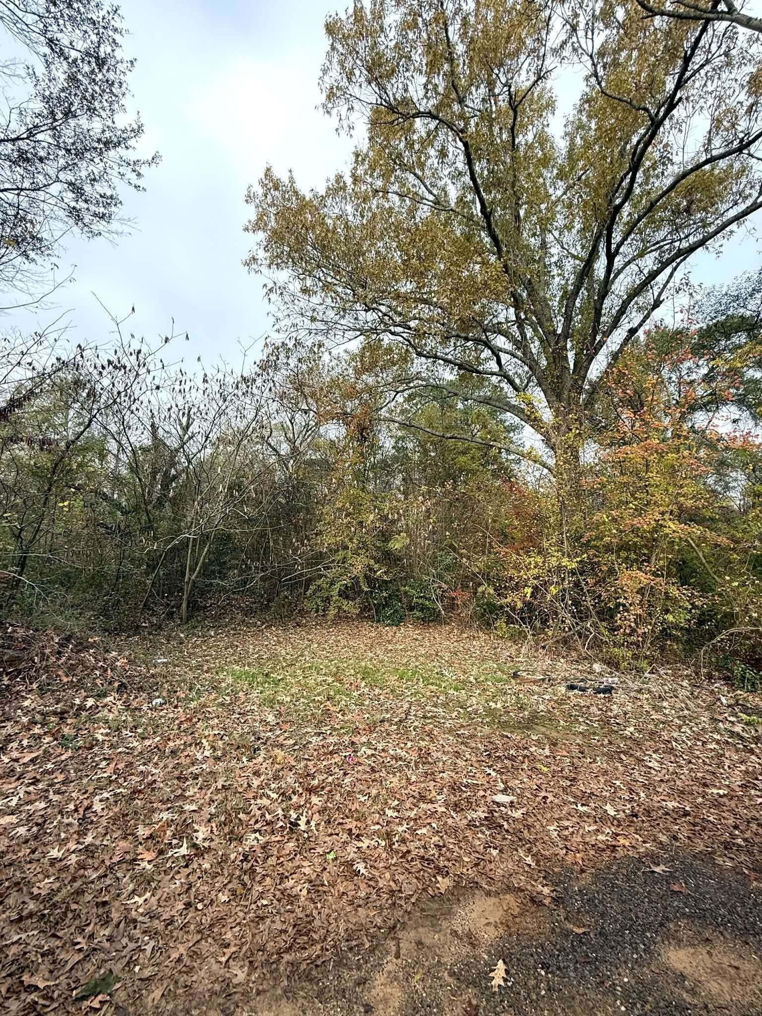 0.38 acres in Texas County - photo 4