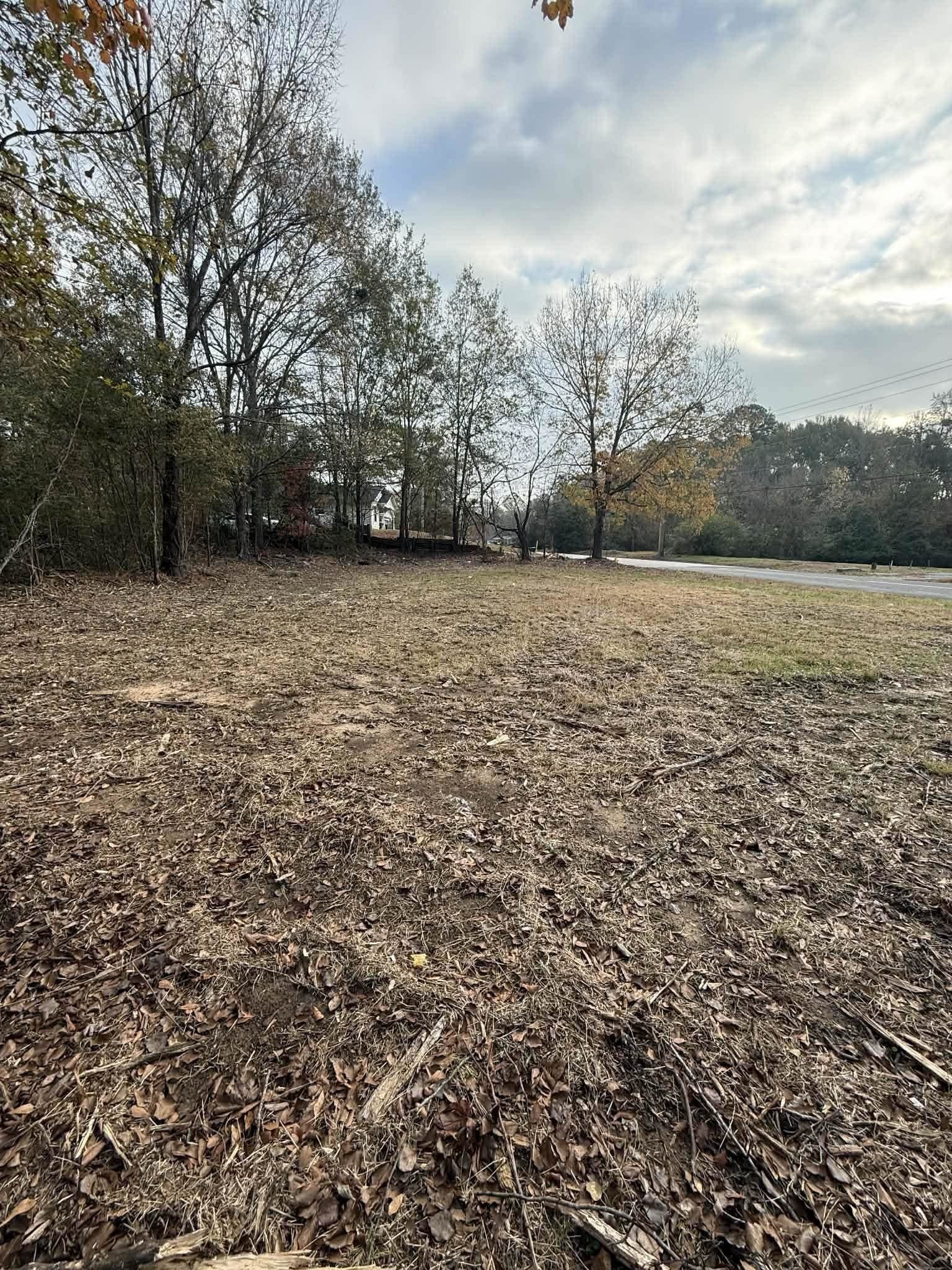 0.38 acres in Texas County - photo 2