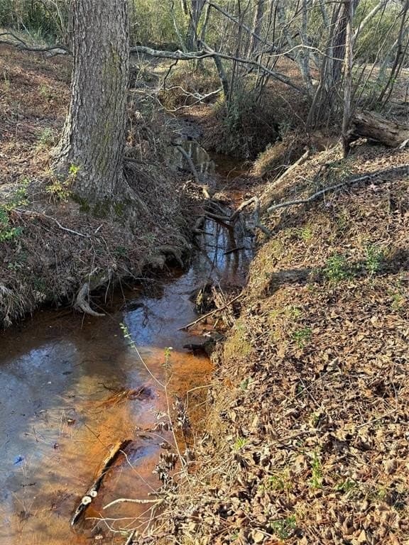 22.67 acres in Smith County - photo 5