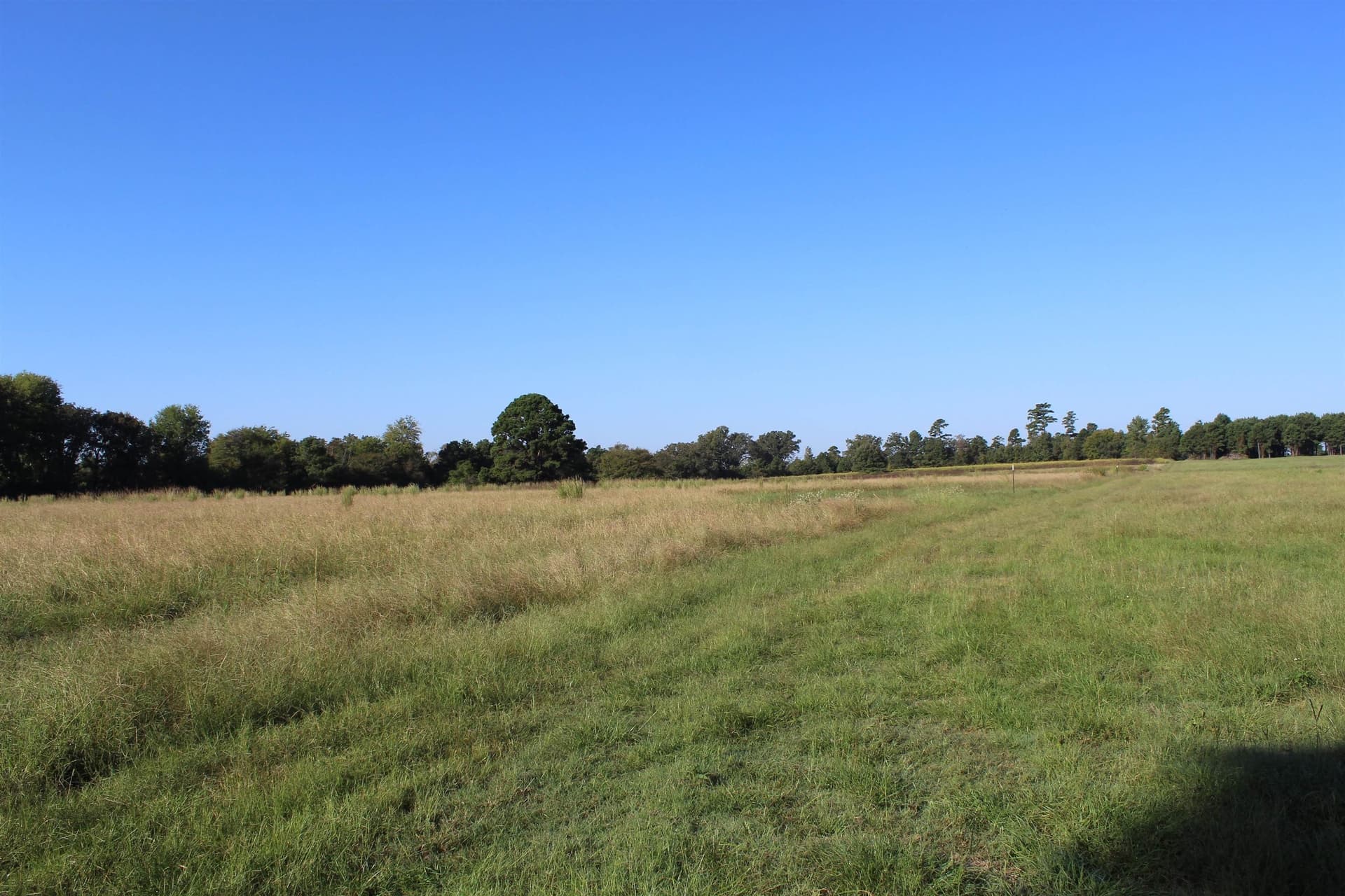25 acres in Marion County - photo 3
