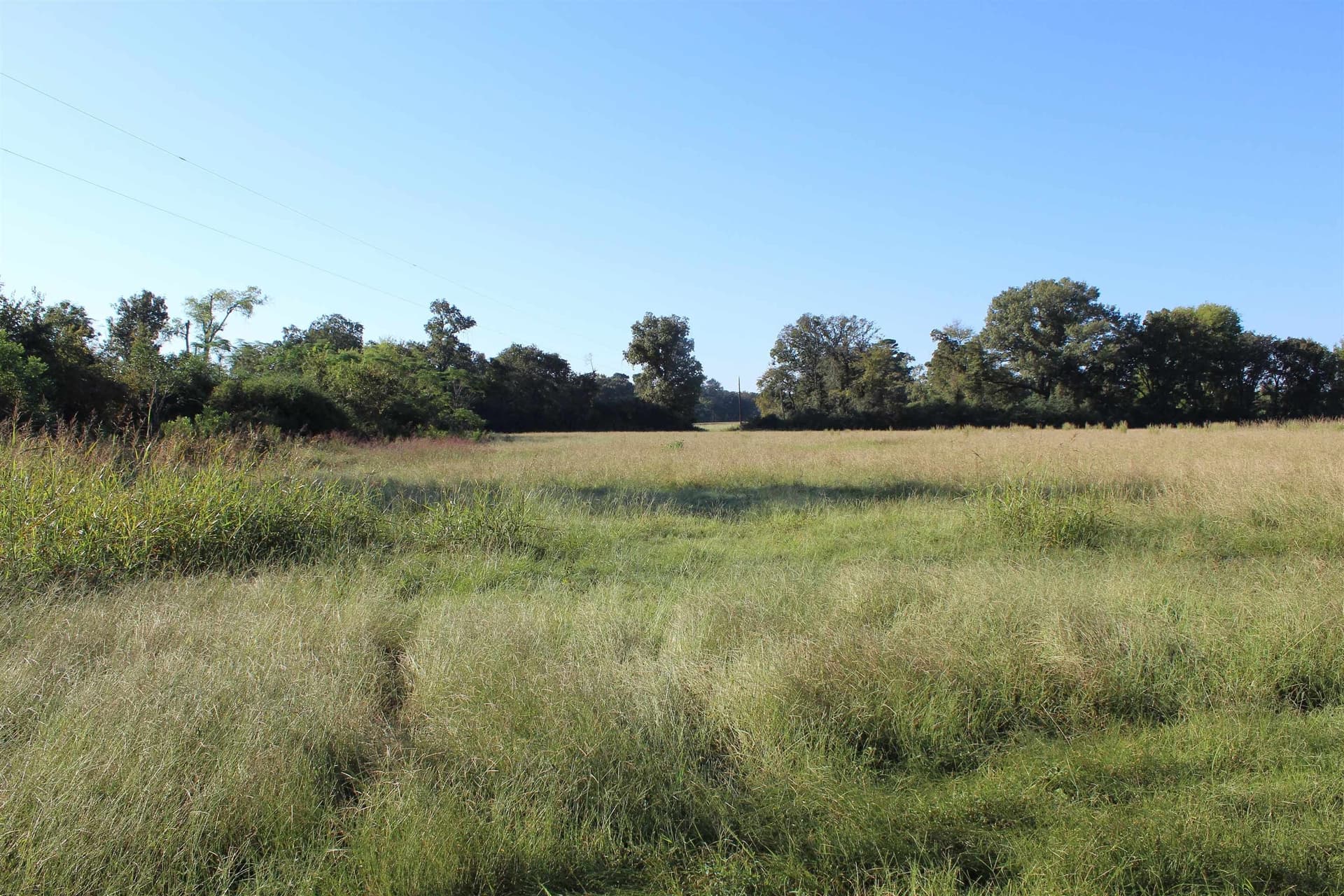 25 acres in Marion County - photo 2