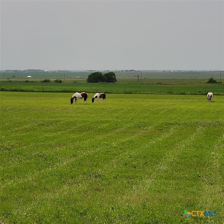 14.45 acres in Travis County - photo 8