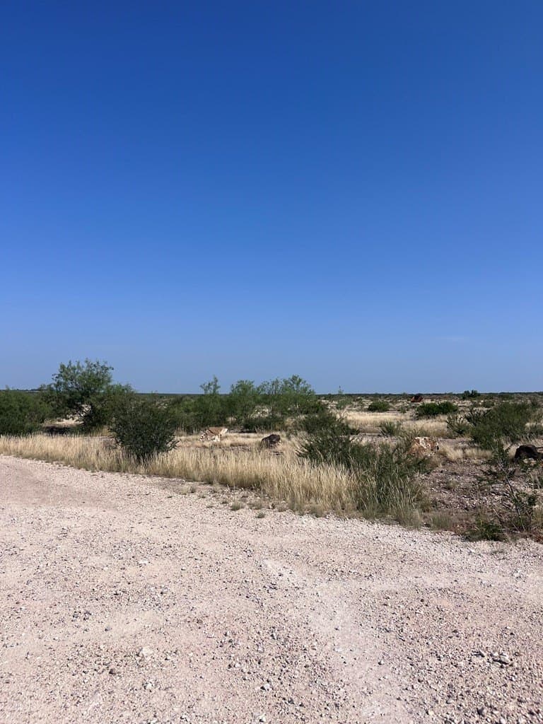 20.35 acres in Maverick County - photo 14