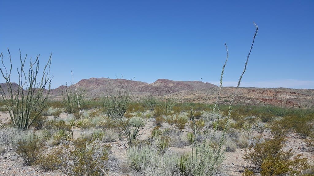 40 acres in Brewster County - photo 5